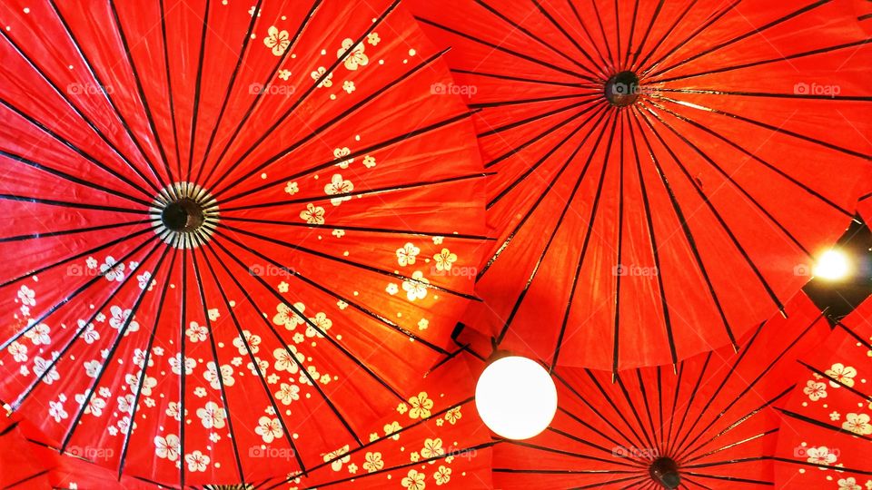 Bright red umbrellas with sakura motifs.