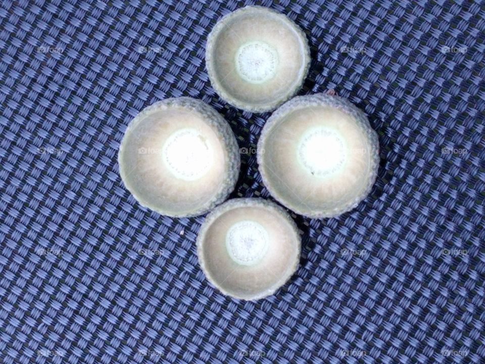 acorn caps