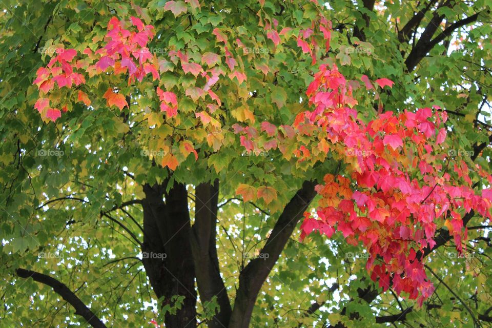 Autumn, when nature shows its beauty