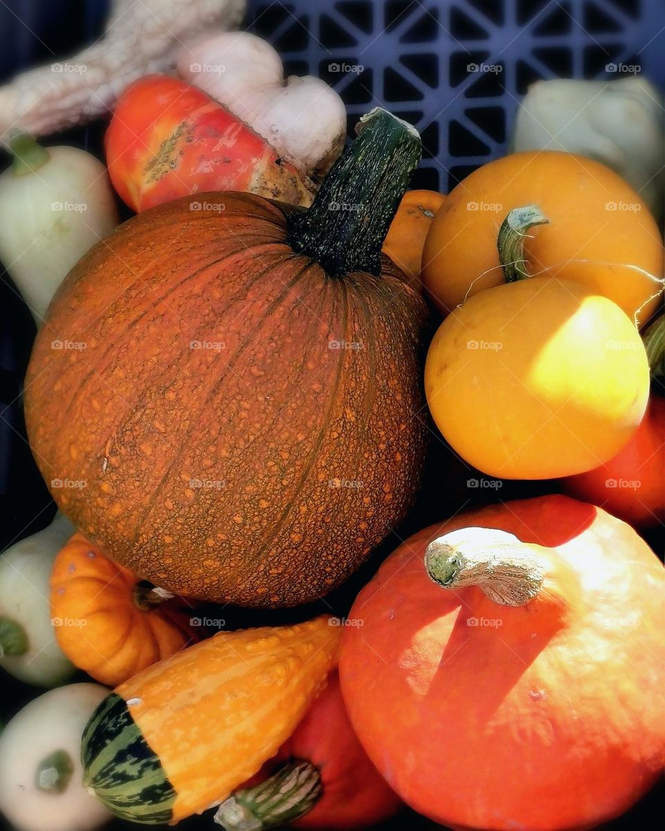 Pumpkins