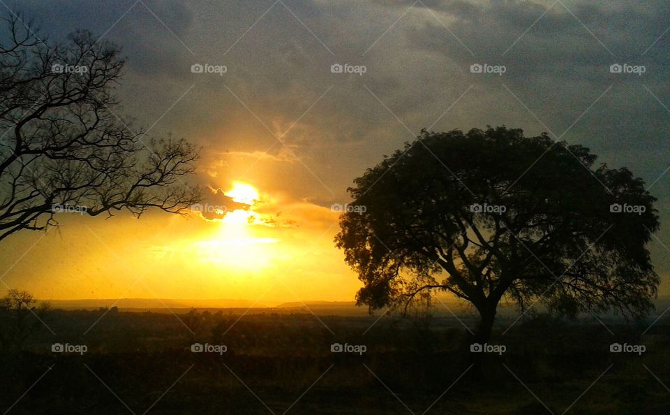 Sunset in the field,Sunset,field,countryside,horizon,sun,sky,clouds,nature,landscape,colorful,trees,autumn