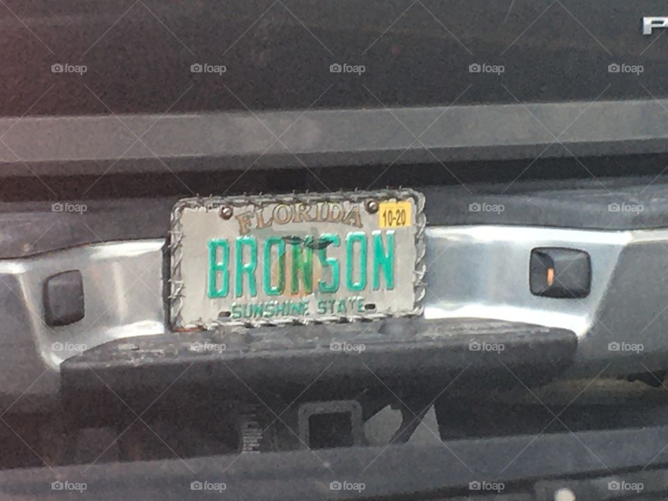 Unique Florida license plate collection BRONSON