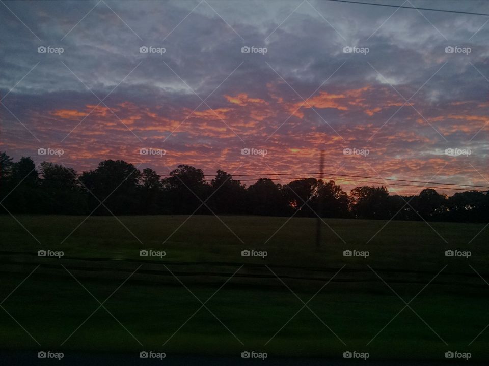 Landscape, Sunset, Tree, Golf, No Person