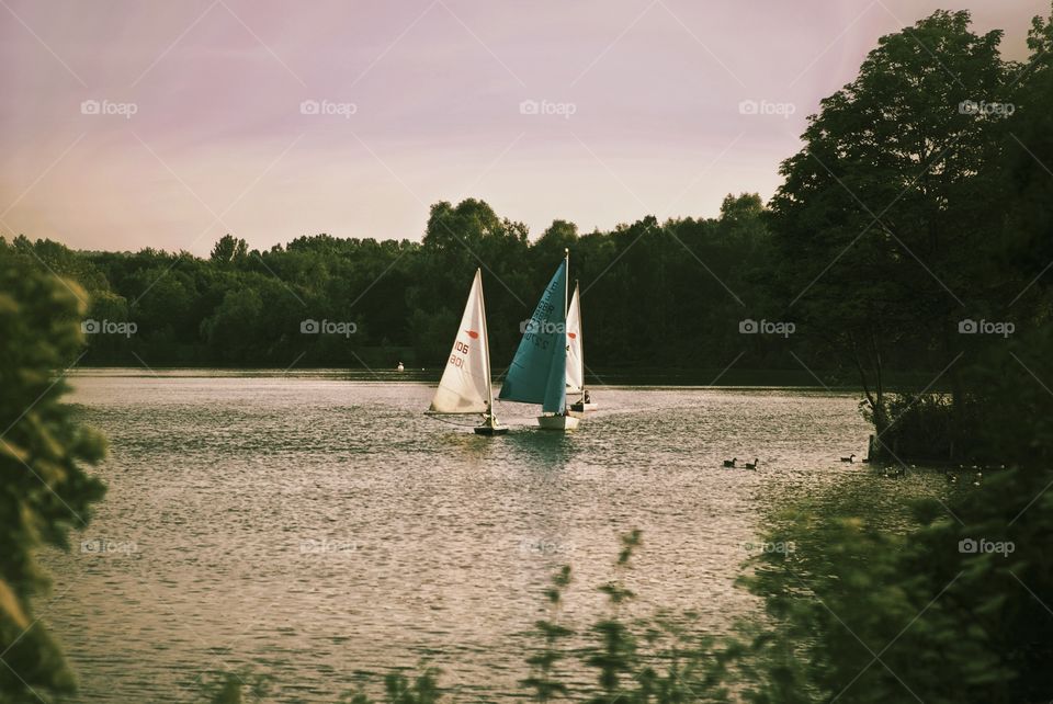 Sailing. Boat