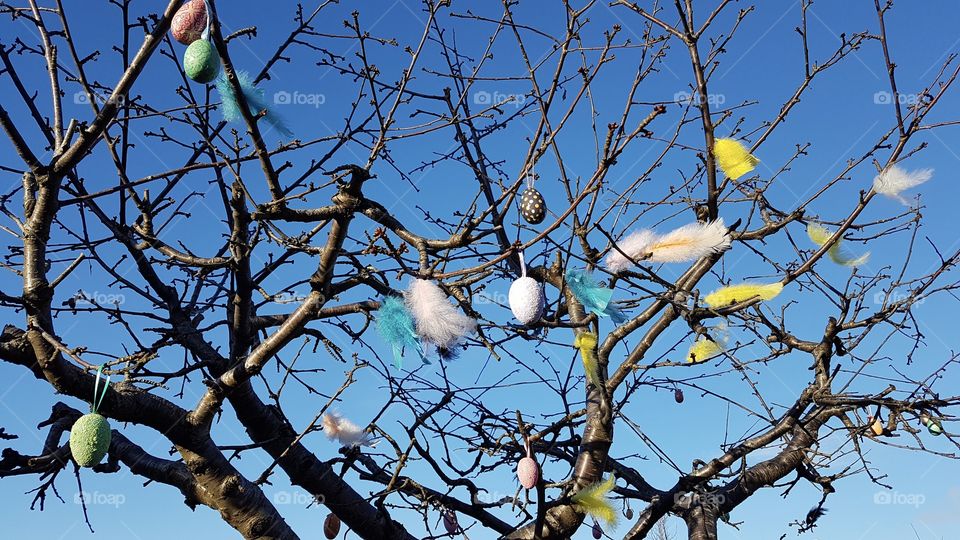 Tree with Easter decorations, feathers and eggs - påsk, träd dekorerat  med påskpynt , fjädrar och ägg 