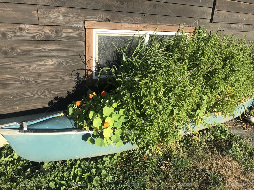 Canoe garden 