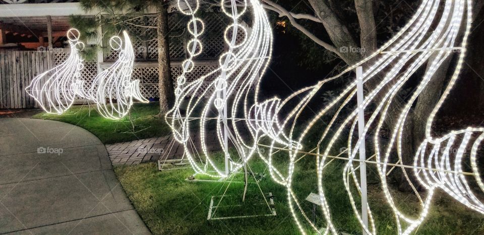 ILLUMINATION of Lights