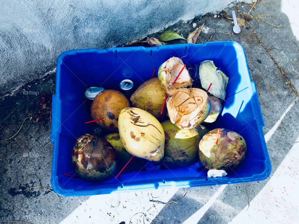 Coconuts in a blue plastic box