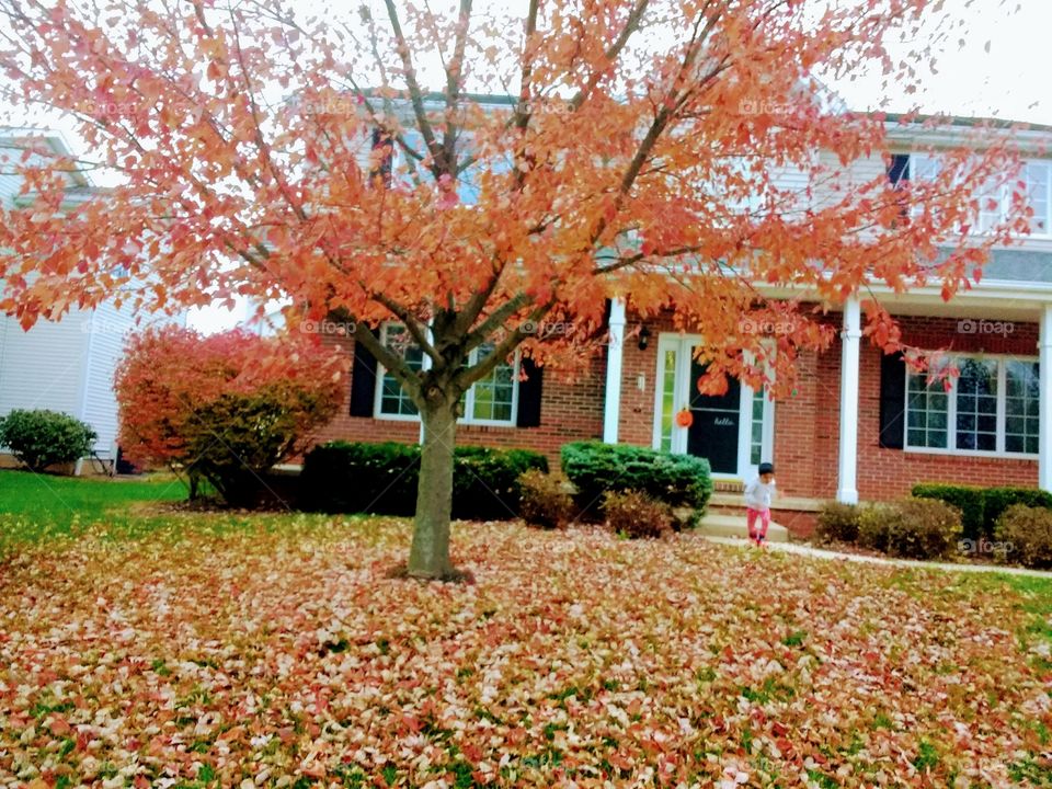 Beautiful Autumn 🌹 The most beautiful and colourful season ever ❤️❤️❤️