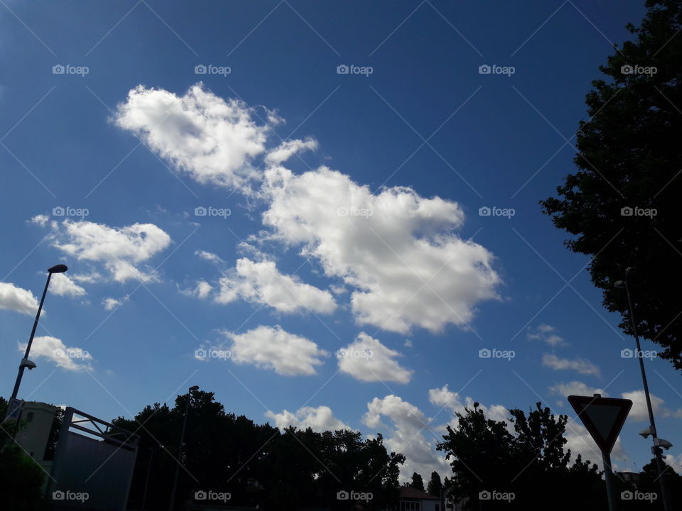 Ferrara clouds