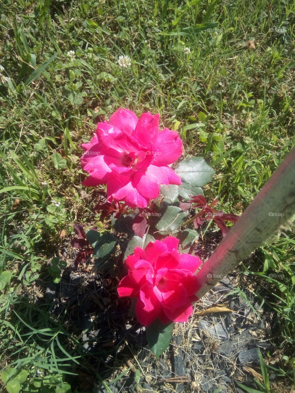 Hope everyone has been having a happy Blessed and awesome Saturday doing what you love!