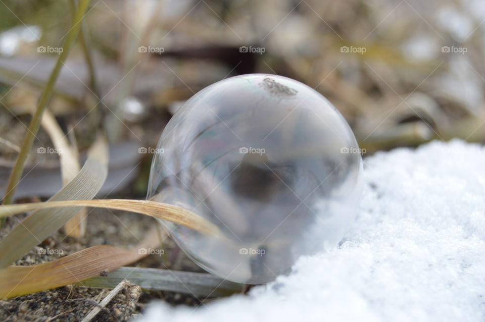 soapbubble