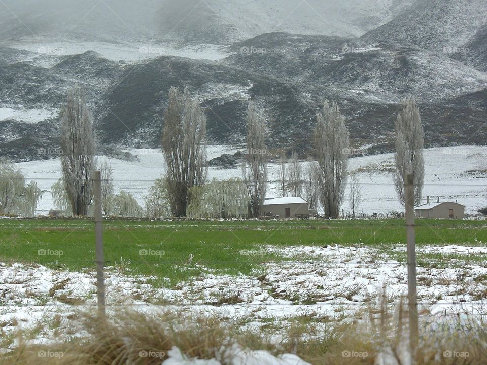 escarcha y campo