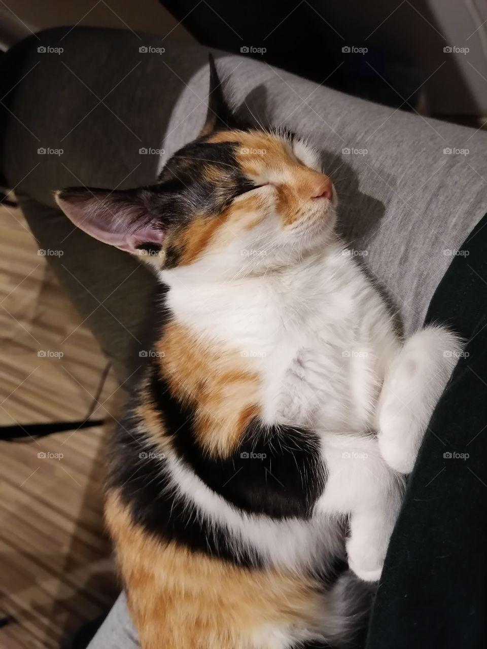 My cat sleeping on me