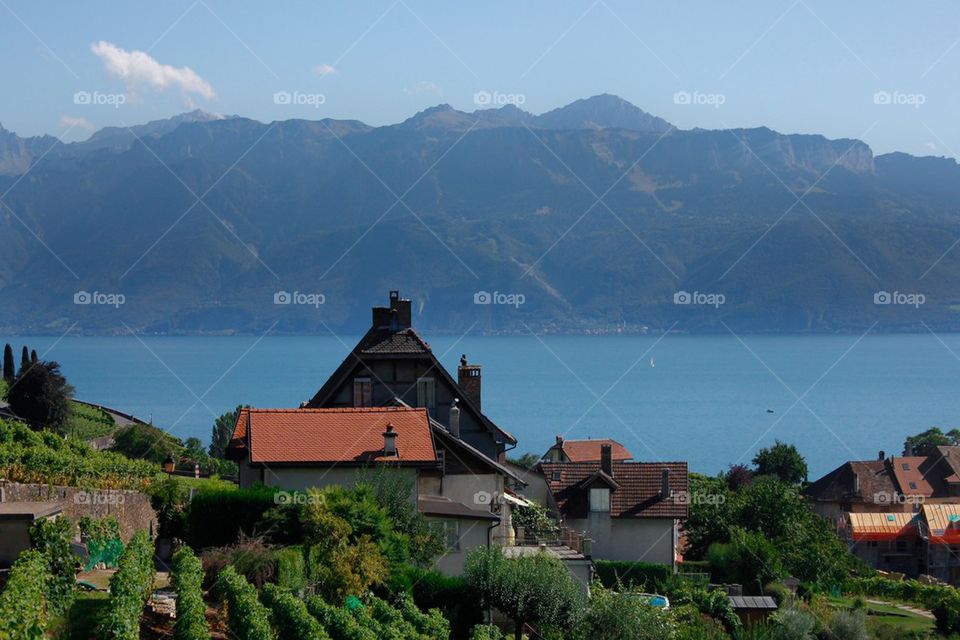 Swiss Village In Vineyards
