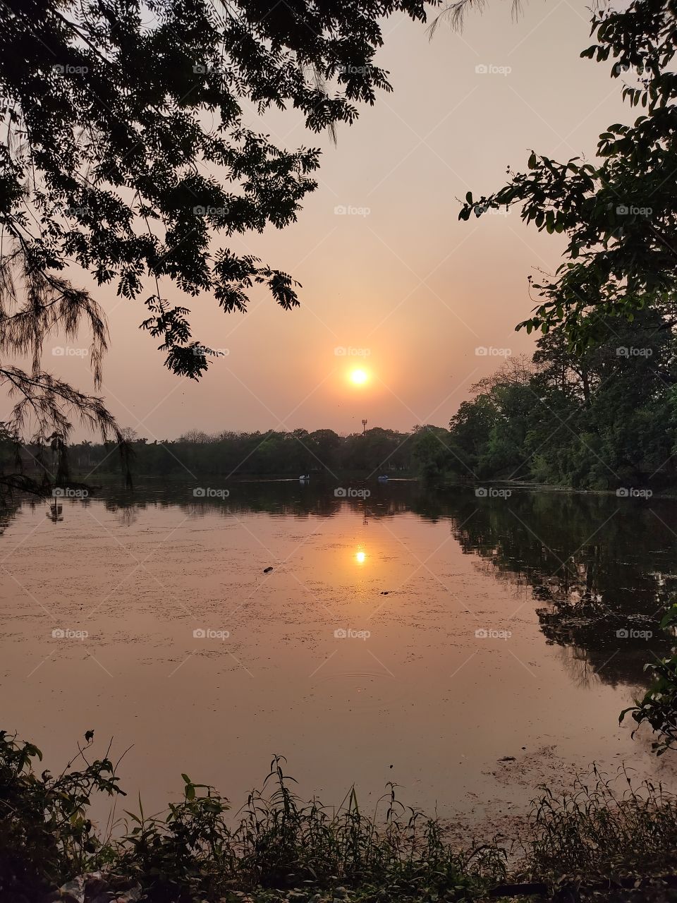 Beautiful evening view