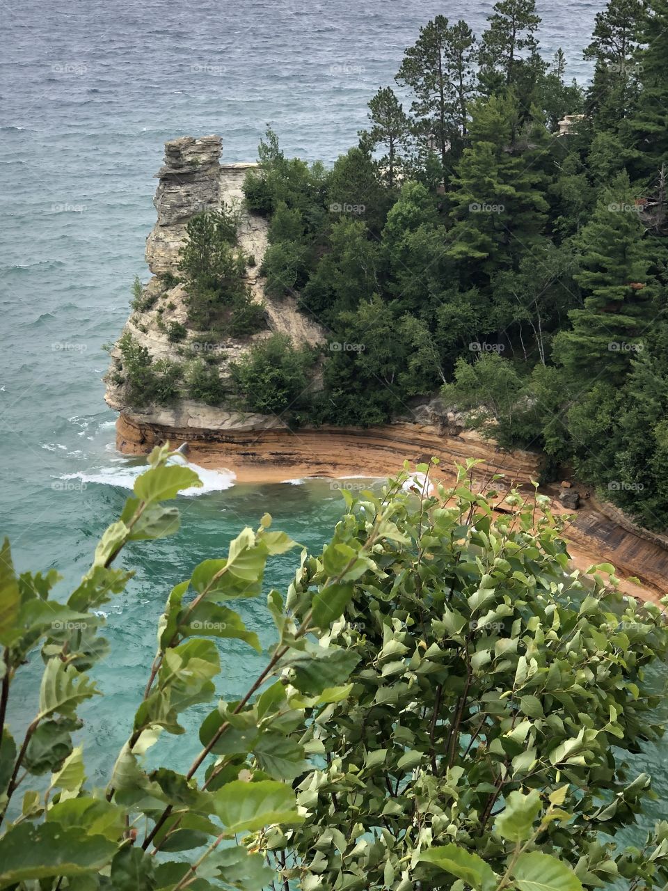 Painted Rick Michigan