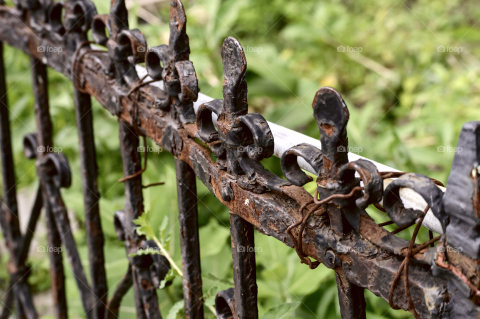 Deteriorating vintage hand made wrought iron fence in garden with rust and cracking paint 