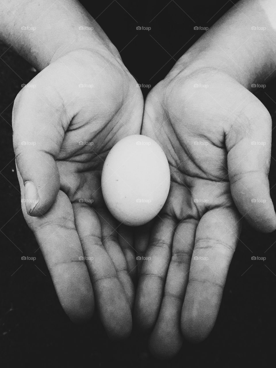 egg in hands black and white monochrome photo