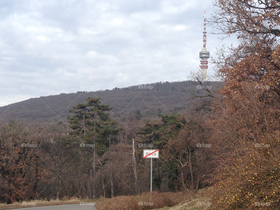 TV tower 