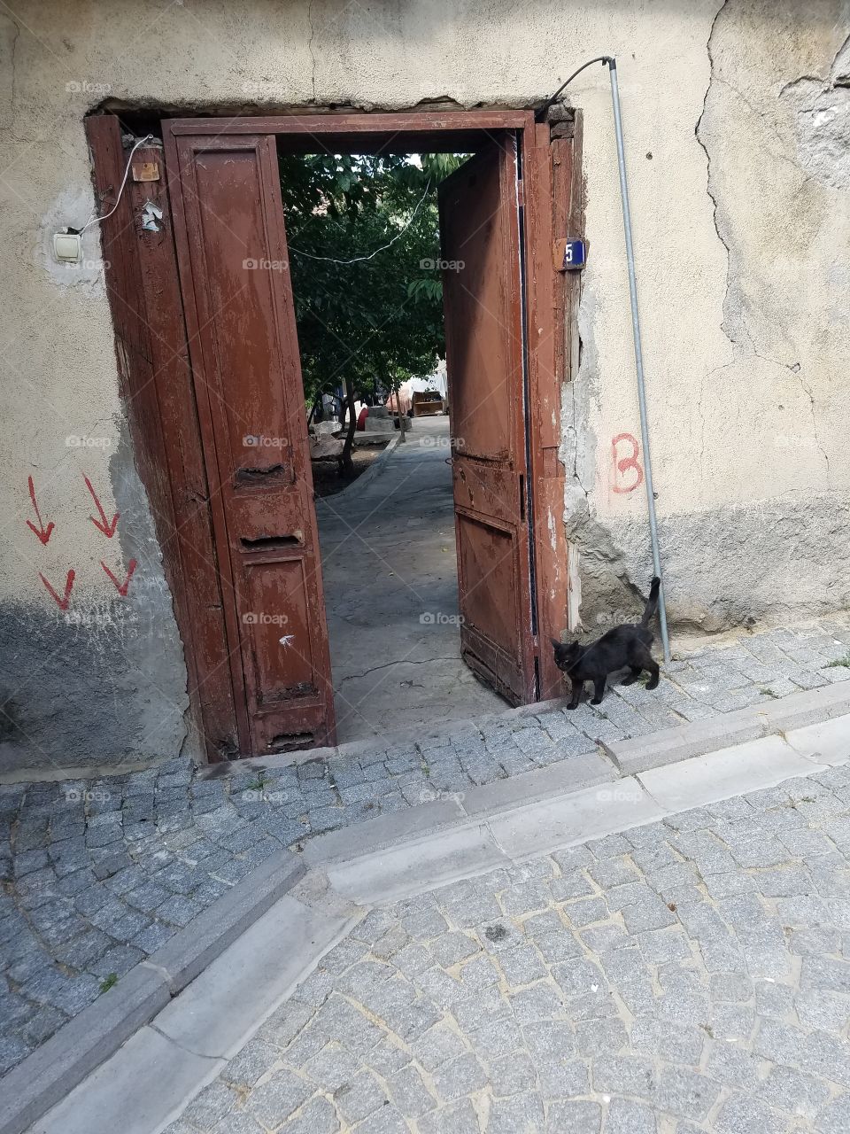 a cat and a doorway inside the complex of Ankara castle in Turkey