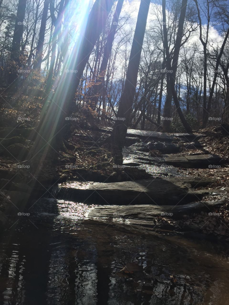 Beautiful Creek On Trail In Georgia