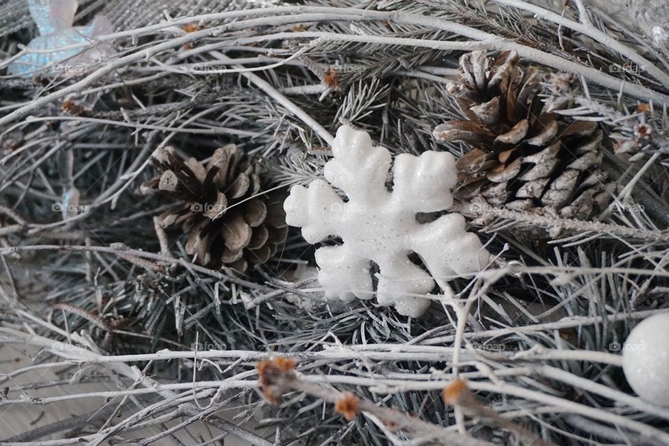 Winter, Nature, Frost, Christmas, Season