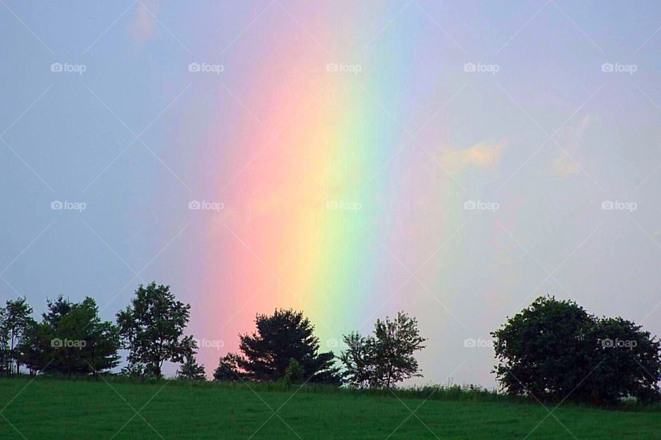 rainbow