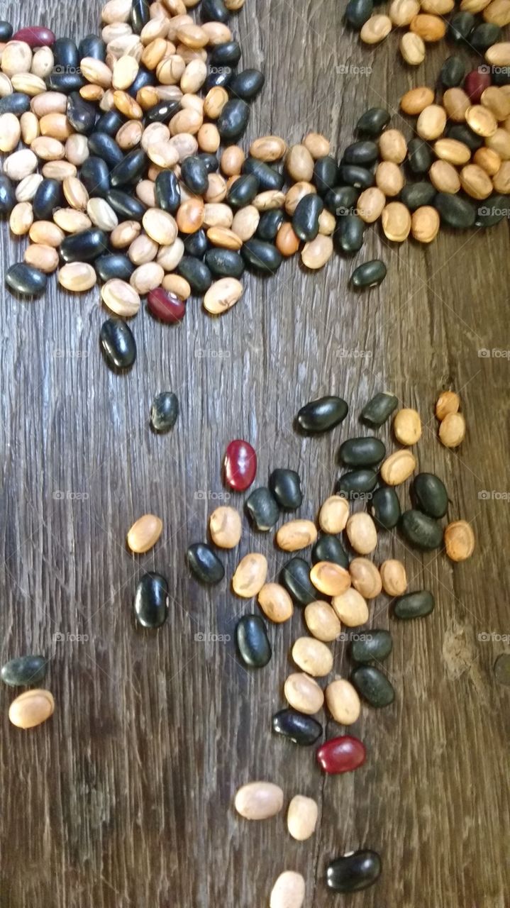 criatividade com feijão