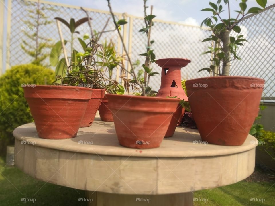 Pots in Garden