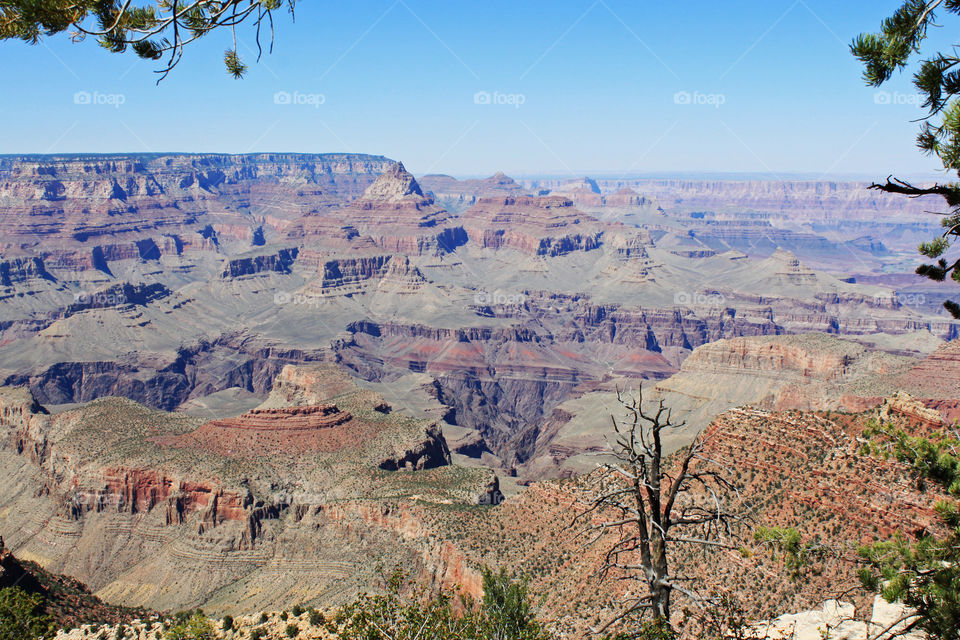 View of the Grand Canyon, Arizona