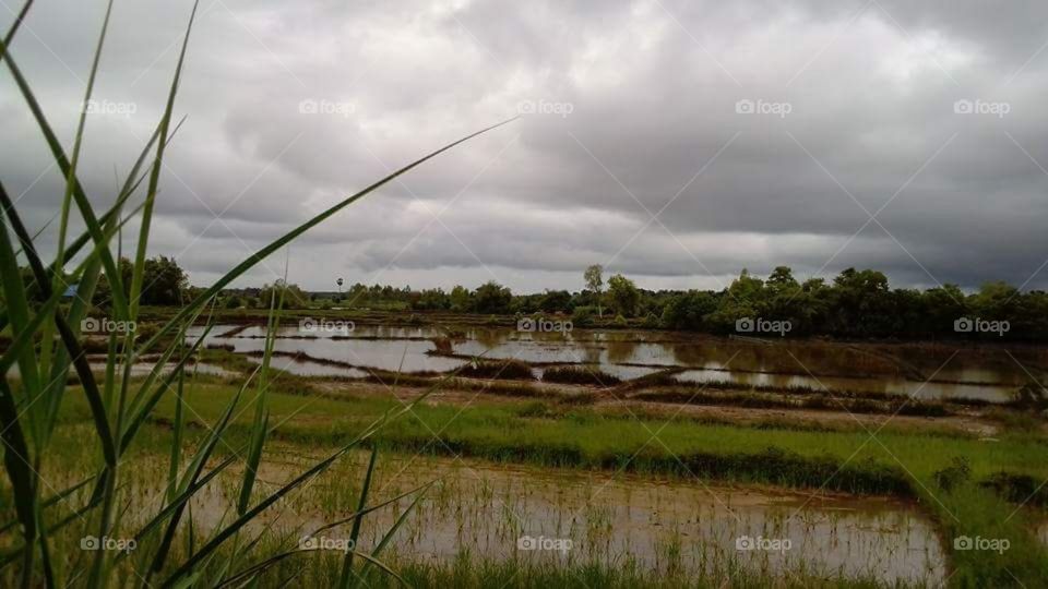 Nature in the country side