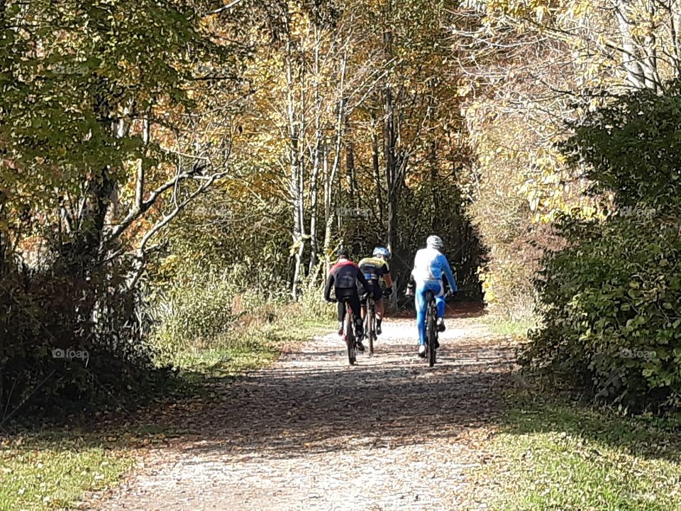 ciclying in the wood in a Autumn day