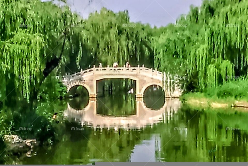 The Chinese bridge that has many green willows around, from the water reflection can watch the same landscape, very beautiful, attractive and comfortable. is a Chinese type garden.