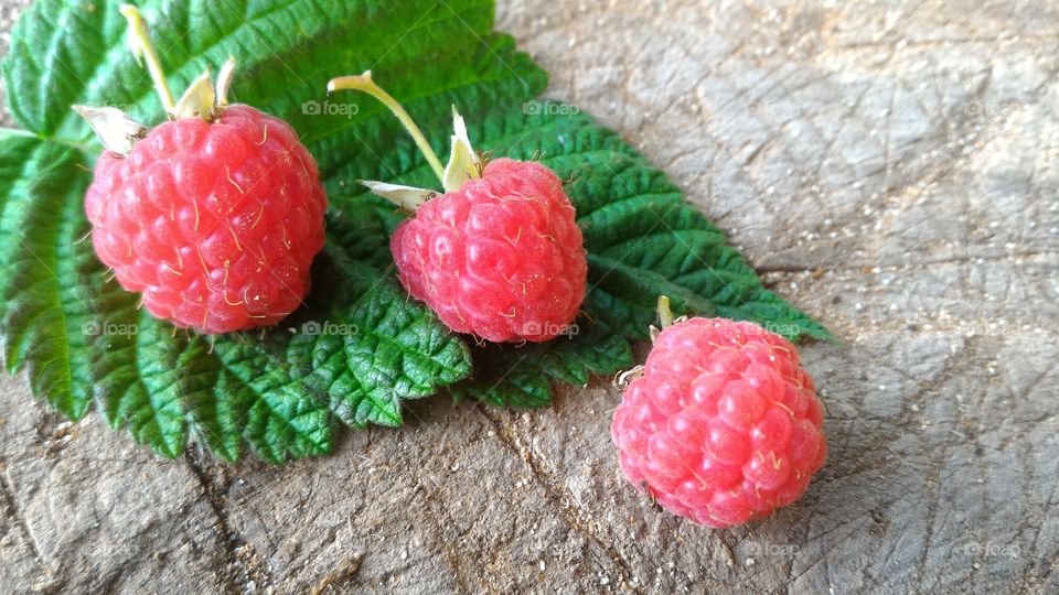 raspberry