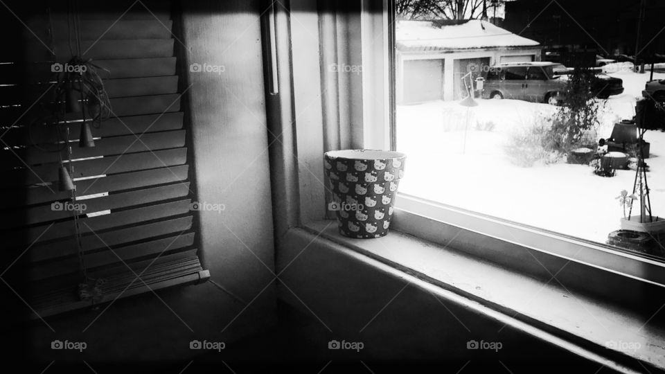 Pot planter on window sill in winter