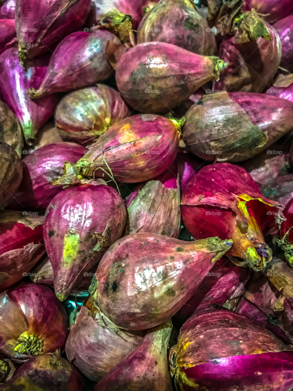 A group of red onions, prepared for cooking.