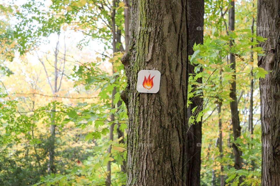 Trail blaze sign on a tree in the fall