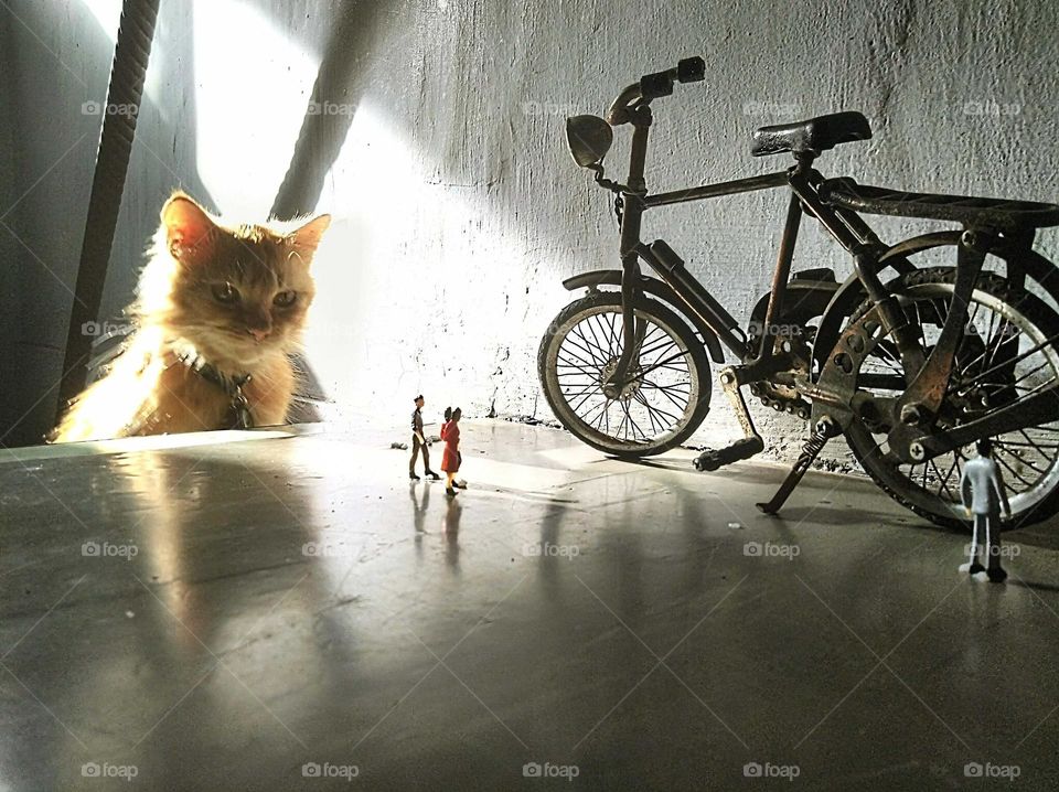 Giant cat that preys on humans