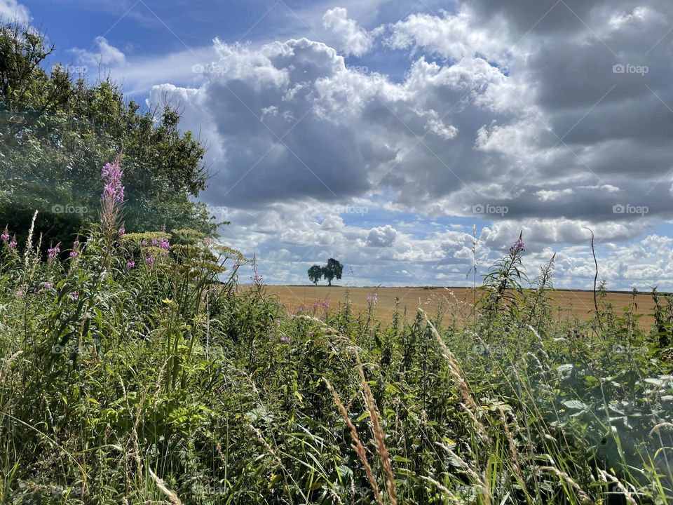 English Countryside 🏴󠁧󠁢󠁥󠁮󠁧󠁿