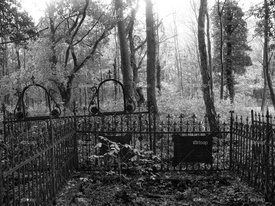 Black and white shot of abandoned cemetery in forest in Świnoujście, Poland.