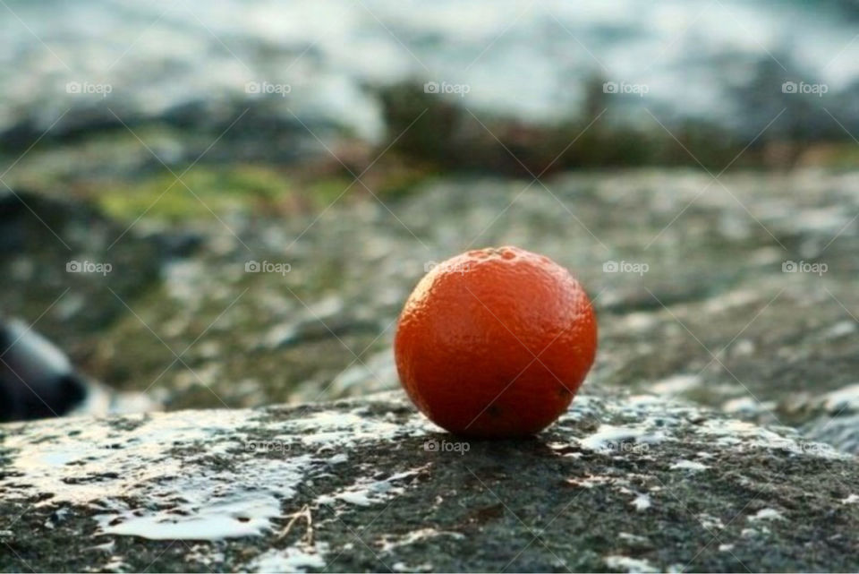 fruit frukt cm clementine by paula