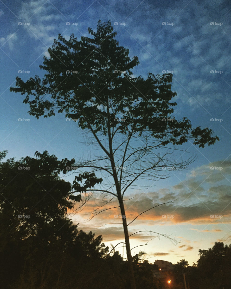 🇺🇸 A totally inspiring blue sky!  Beautiful day or not?
How to stop contemplating the beautiful dawn ...
🇧🇷 Um céu azul totalmente inspirador! Dia bonito ou não?
Como deixar de contemplar a bela alvorada...