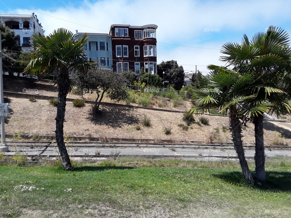 Dolores Park San Francisco California