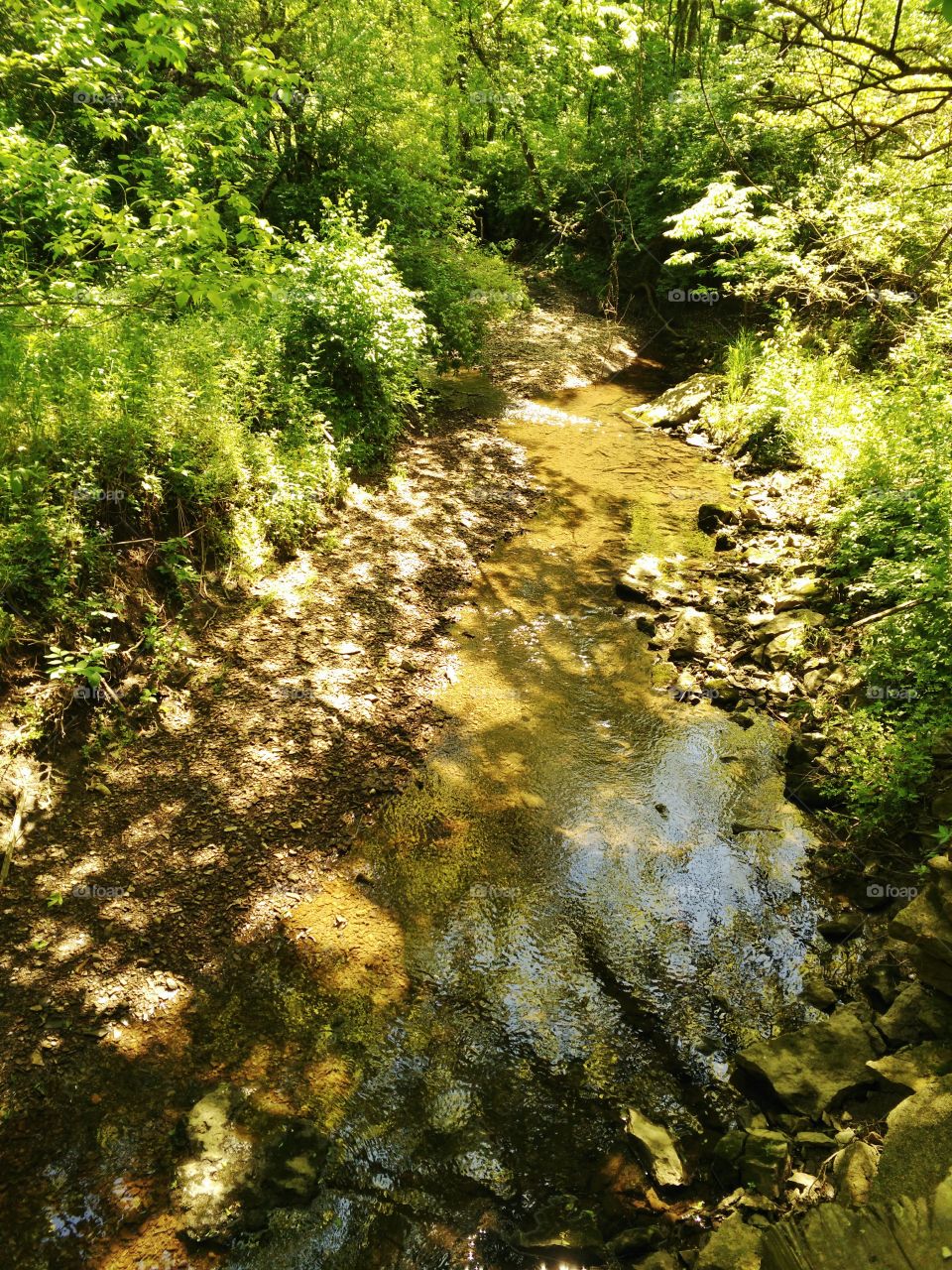 quiet creek