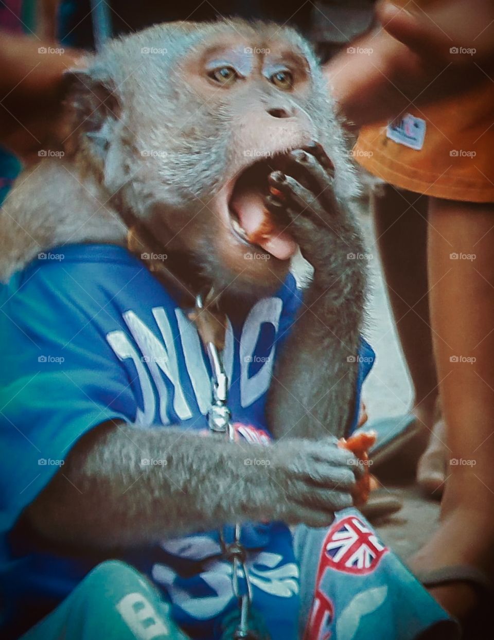 The expression of the monkey