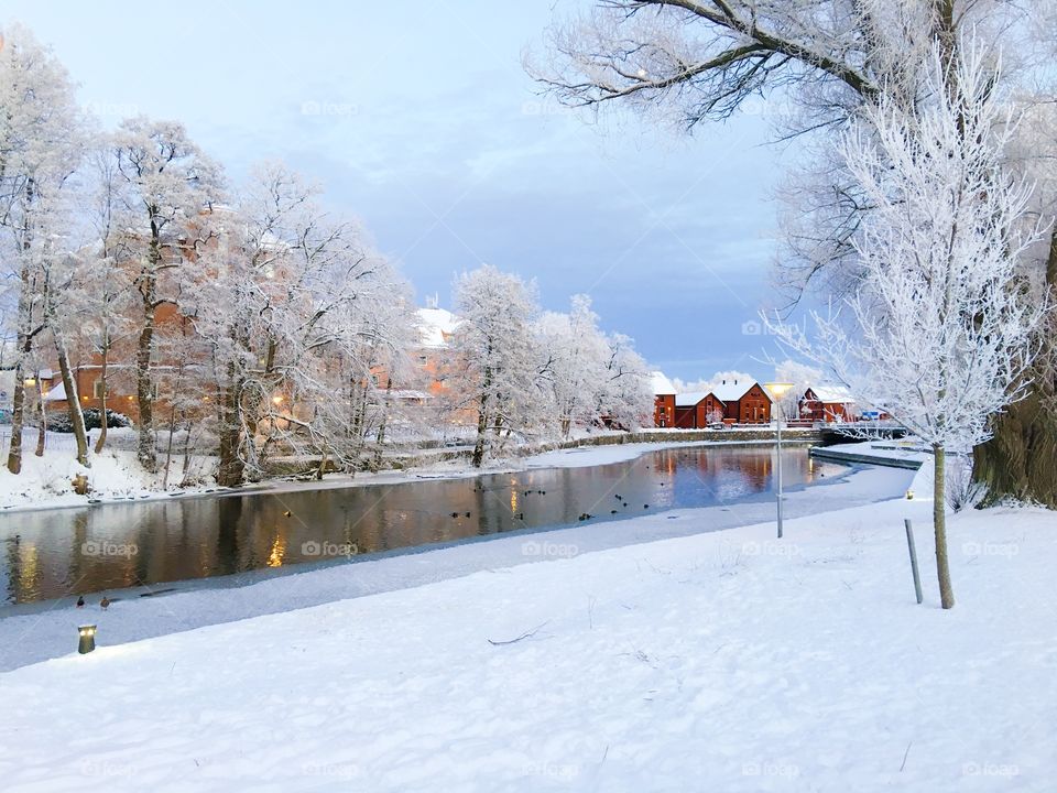 View of houses and trees during winter