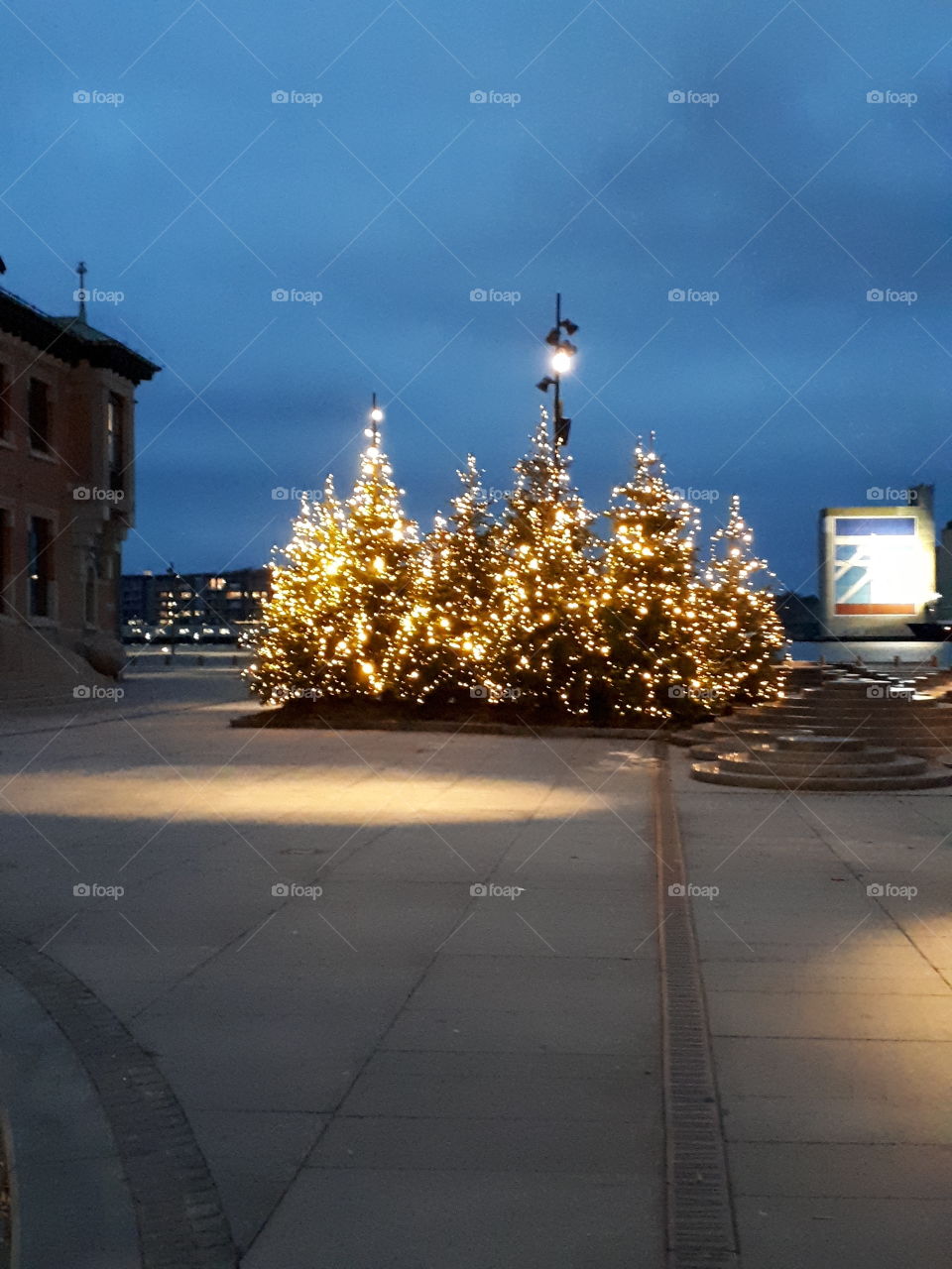 juletræ - lys - bygning - sen eftermiddag  - by