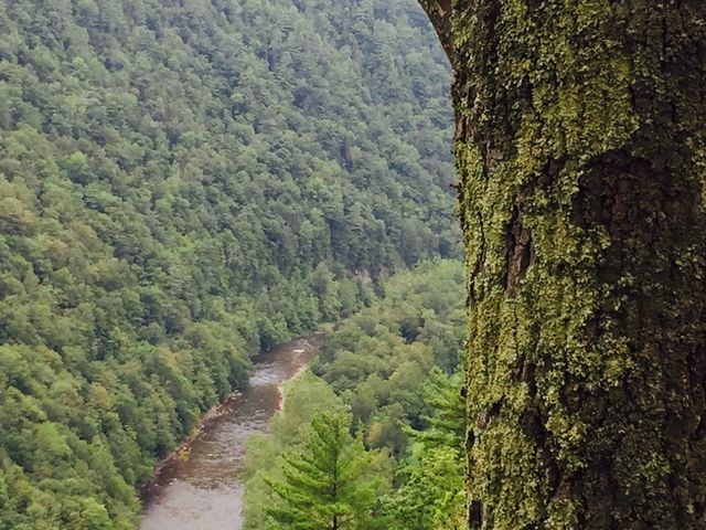 Leonard Harrison state park PA