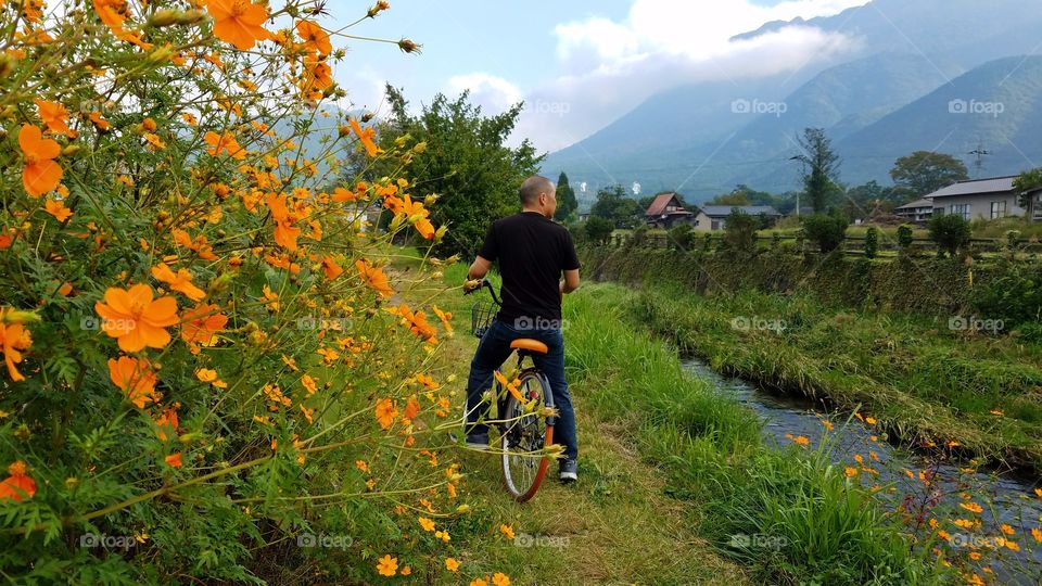 Biking through wild flower fields